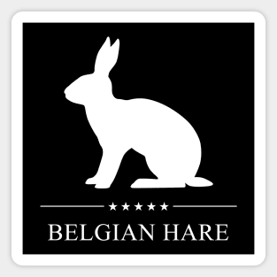 Belgian Hare Rabbit White Silhouette Magnet